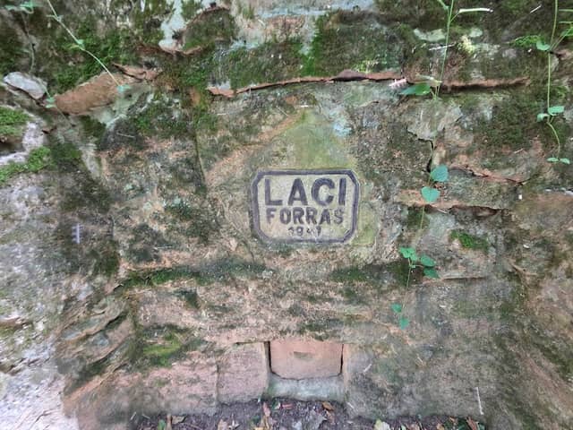 Laci-forrás - Image 1