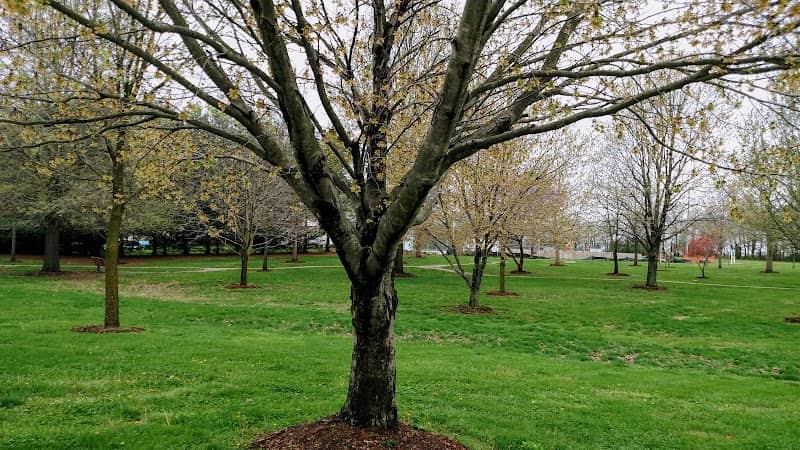 Veterans Memorial Tree Park - Image 1
