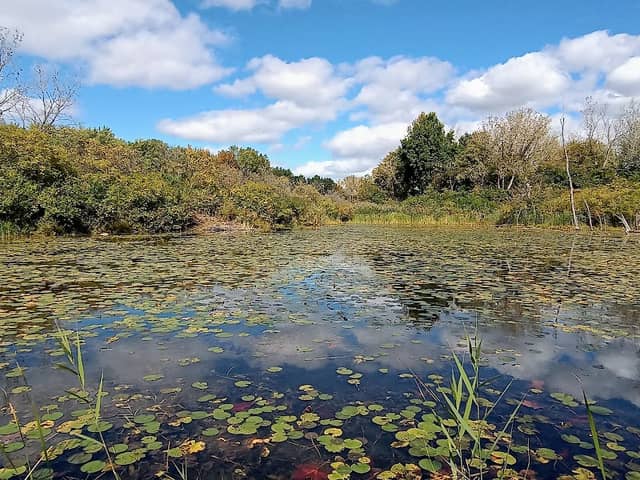 Ohio & Erie Canal Reservation - Image 1