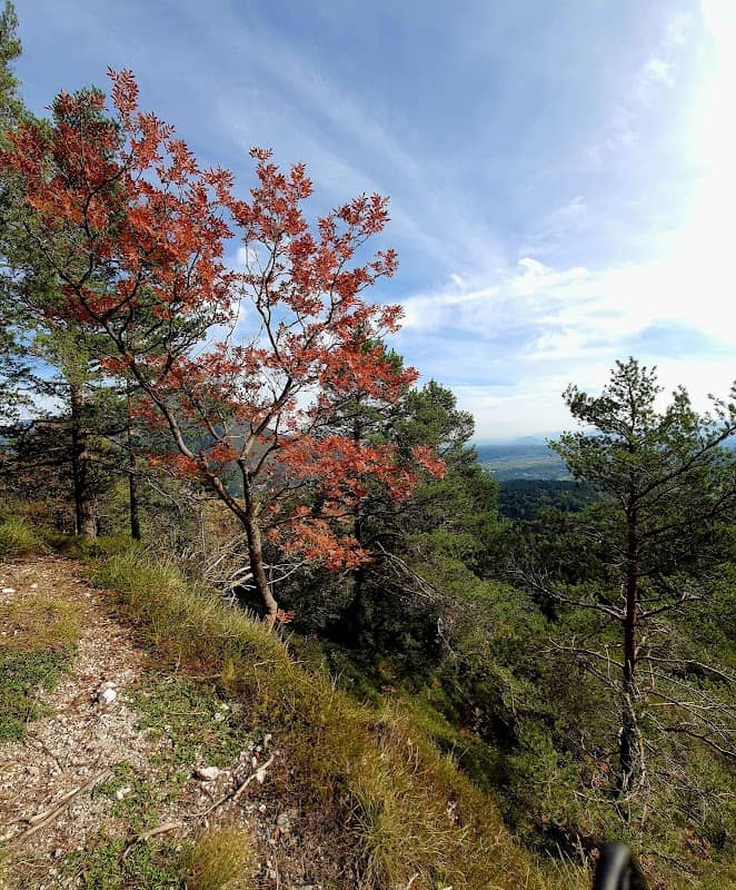 Razgledna točka - Image 1