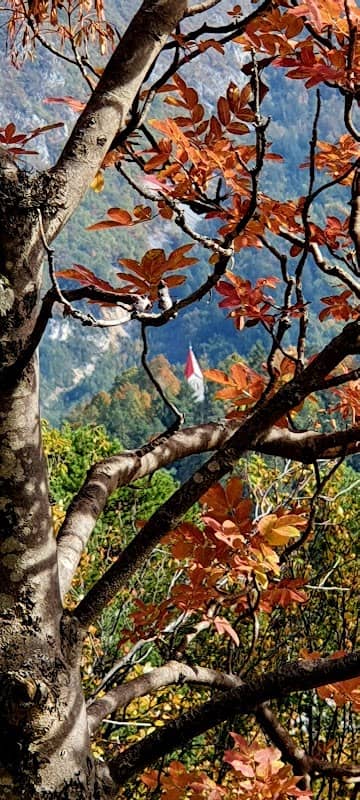 Razgledna točka - Image 2
