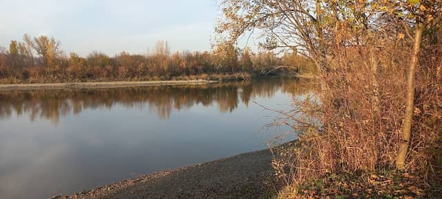 Absatzbecken Oslip - Image 1