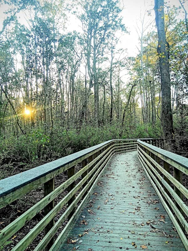 Forever Wild Trails - Image 2