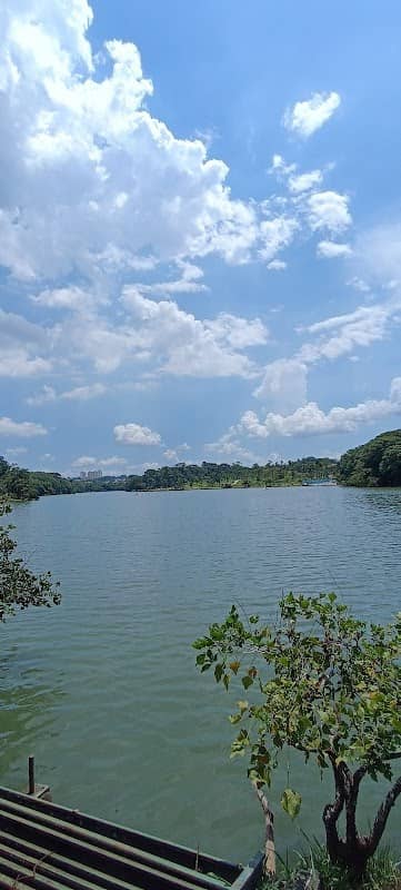 Taquaral Aventura | Tirolesa em Campinas - Image 2