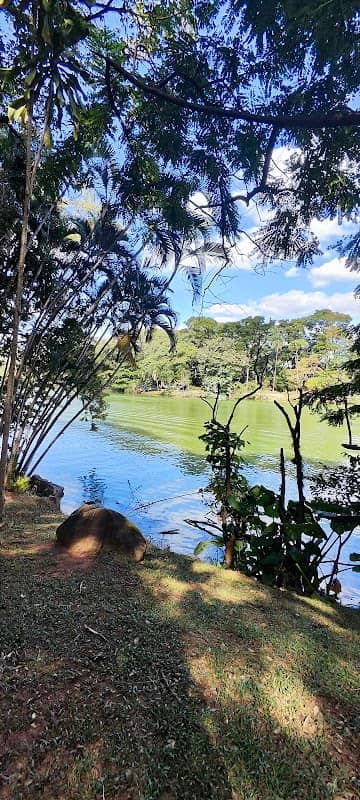 Taquaral Aventura | Tirolesa em Campinas - Image 1