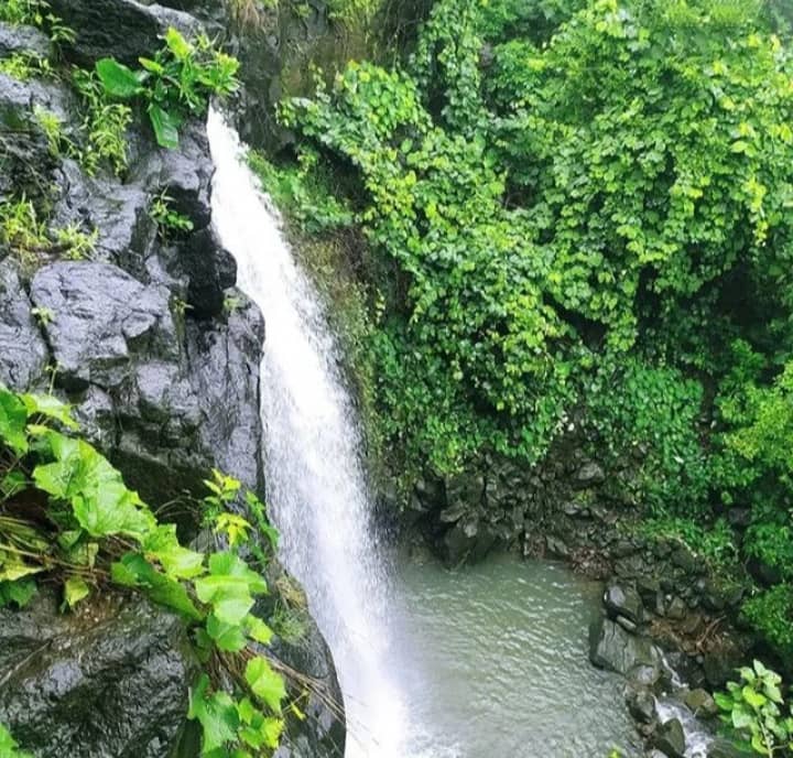 भदभदा Waterfall Siyarmau - Image 2