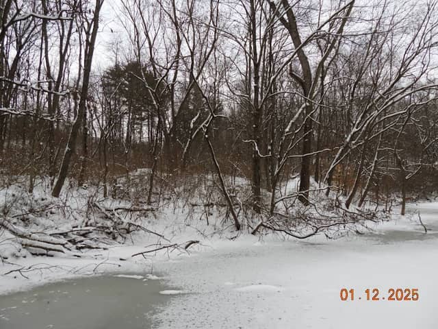 Stillwater Creek - Image 1
