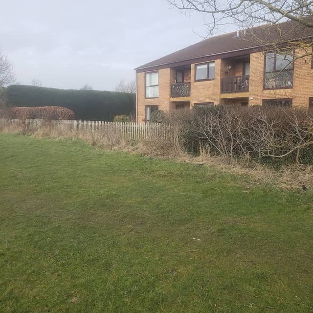 Watchyard Lane Park - Image 2