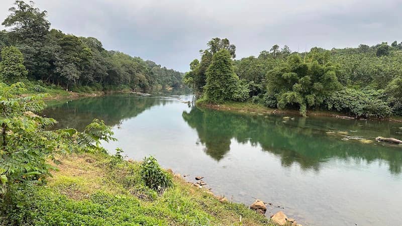 മണിമലയാർ view point - Image 1
