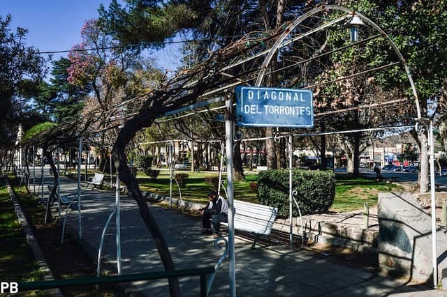 Diagonal del Torrontés Riojano - Image 1