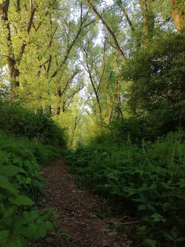 Mestský park Lanice - Image 1