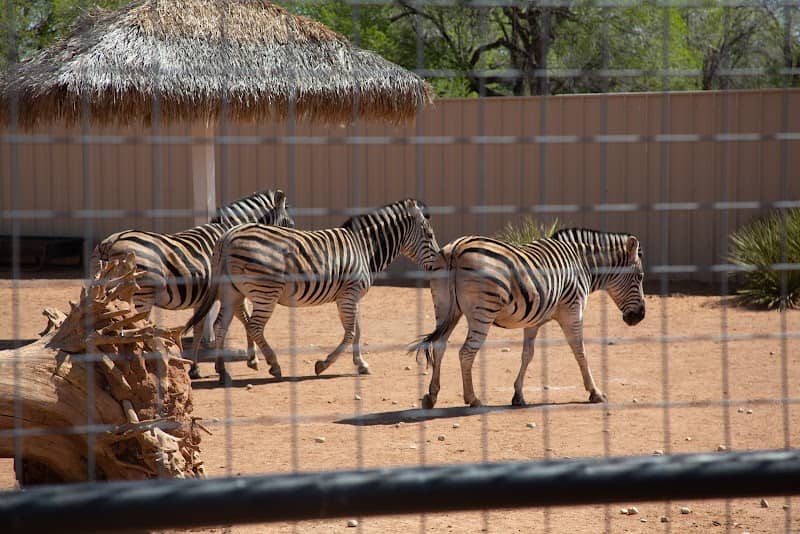 Hillcrest Park Zoo - Image 2