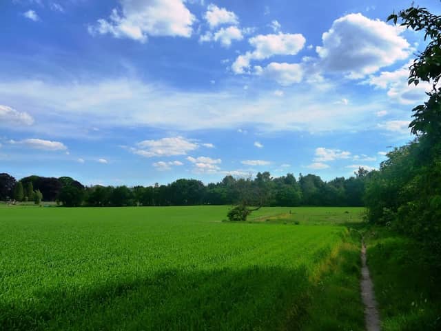 Loenense Enk | Natuurmonumenten - Image 1
