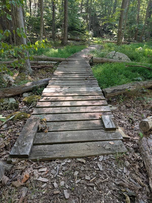 Mahlon Dickerson Reservation - Image 1