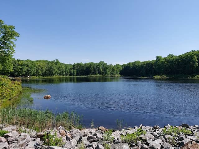 Mahlon Dickerson Reservation - Image 2
