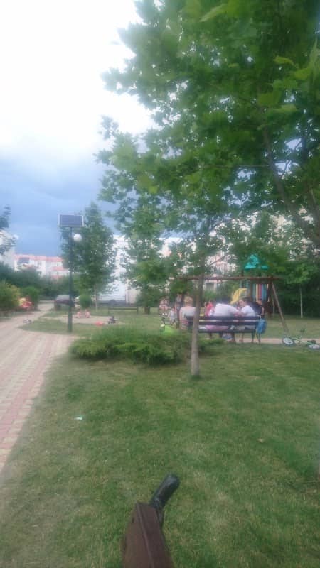 Parc Albastrelelor. - Image 1
