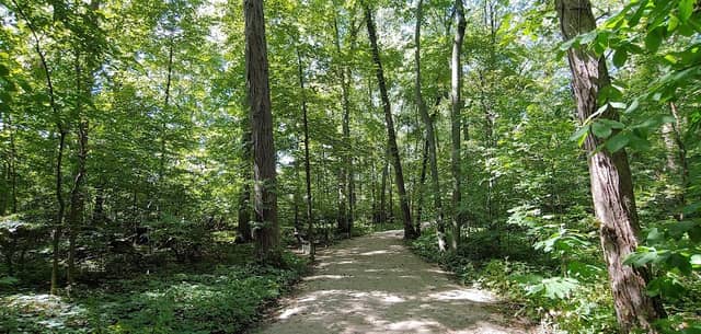 Nature Trails Park - Image 1