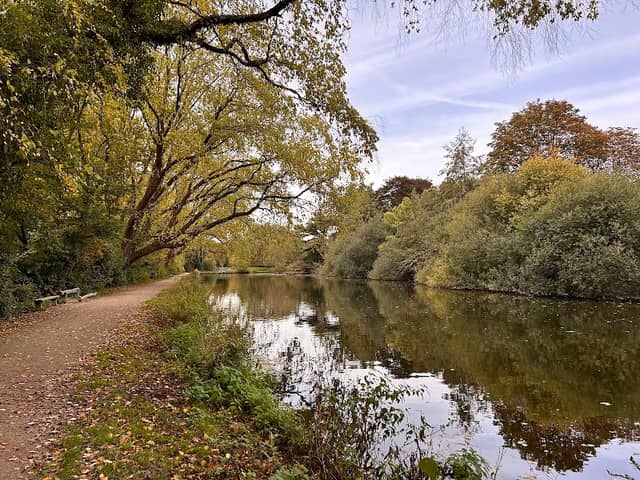 Kienehoef park - Image 1