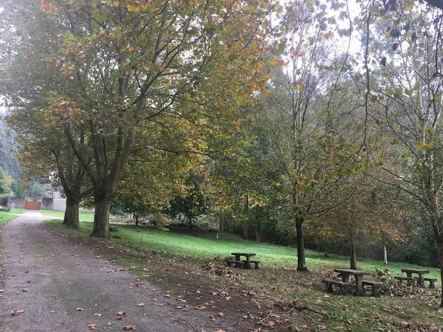 The Walnuts Trees - Image 1