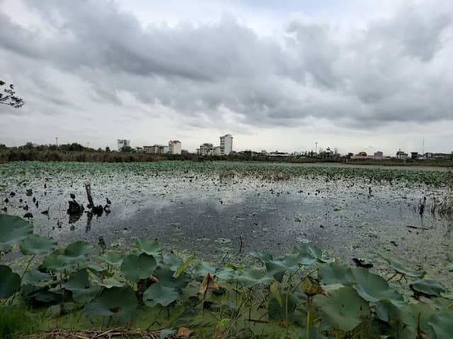 تالاب لنگرود - Image 1