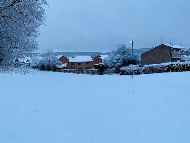 Willow Crescent Recreation Area - Image 2