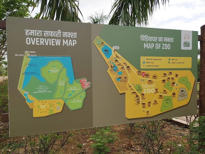 Jungle safari - Image 1