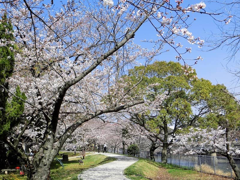 Majimegawa Park - Image 1