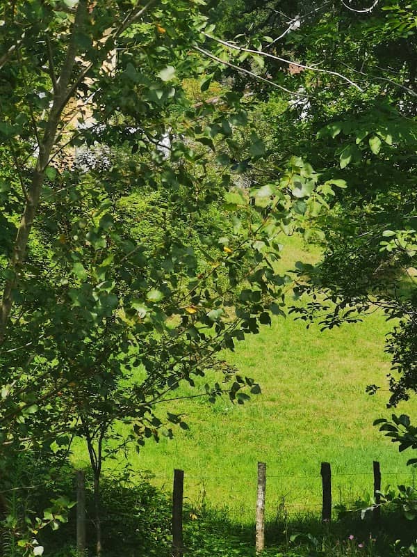 Parc de Vidaillac - Image 1