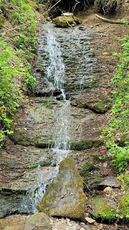 Jefferson National Forest - Image 2
