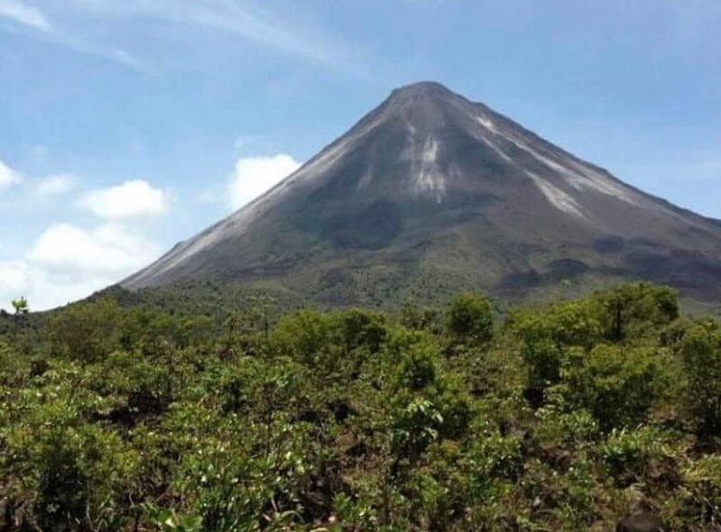 Horseback Riding In Arenal By Don Tobias Horses - Image 3