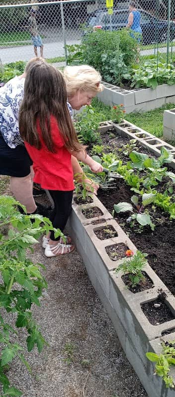 Lewiston Auburn Community Garden Washburn - Image 1