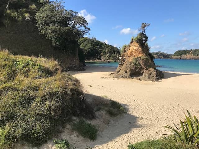 Whale Bay Headland Walkway - Image 1