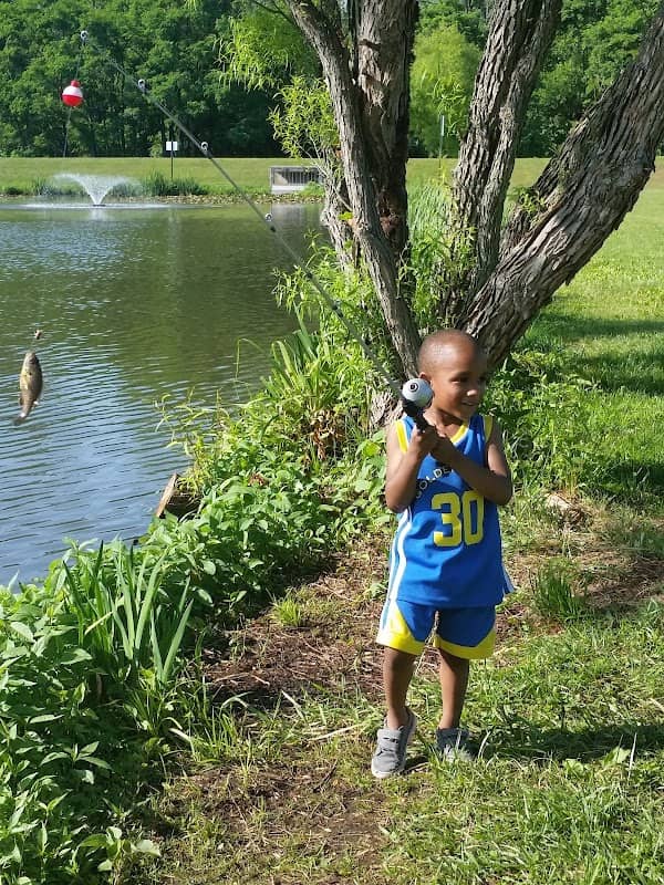 L M Stevens Park - Image 1