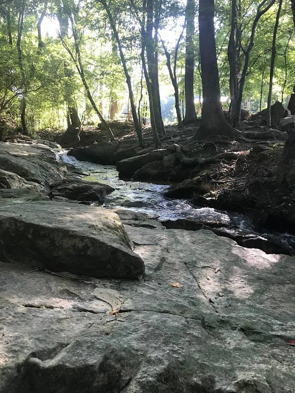 Park Pond - Image 2