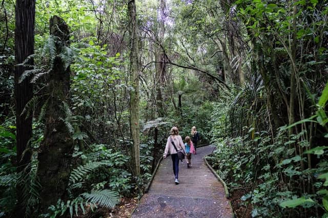 Nga Manu Nature Reserve - Image 1