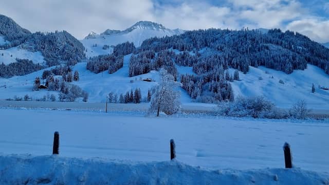 Aussichtsturm - Image 3