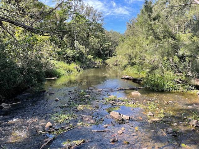 Bunya Crossing Reserve - Image 1