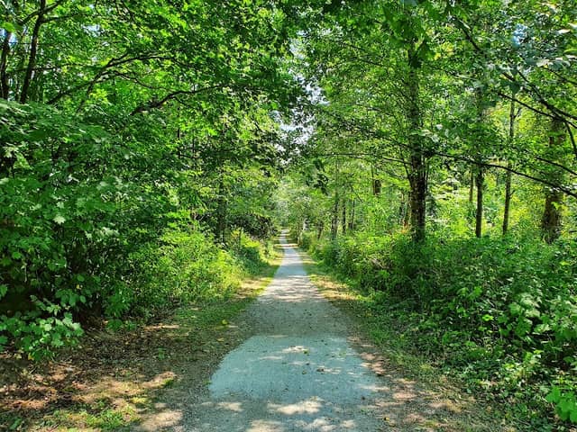 Surrey Lake Park - Image 2