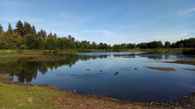 Surrey Lake Park - Image 1
