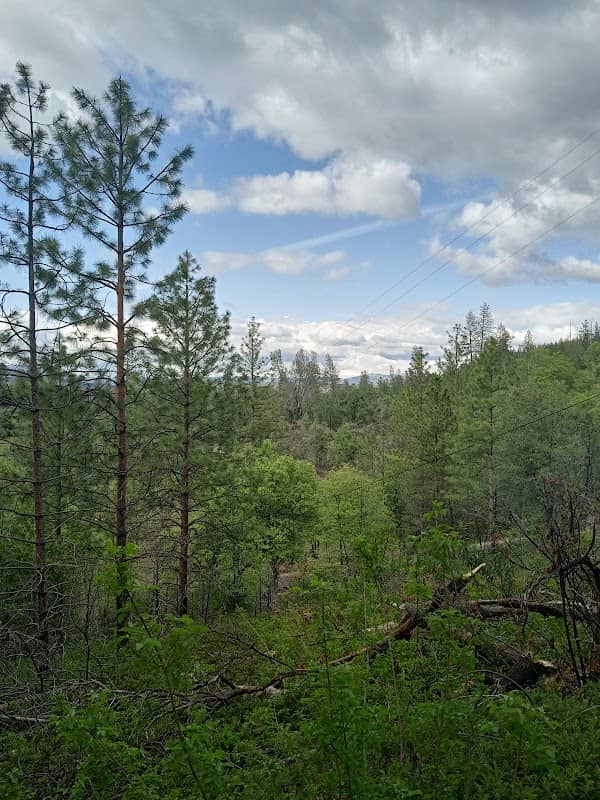 Golden Forest Trailhead - Image 3