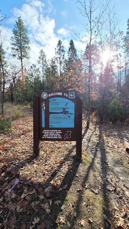 Golden Forest Trailhead - Image 2