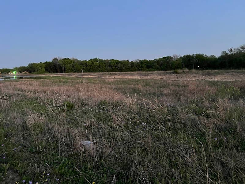 Swan Pond - Image 1