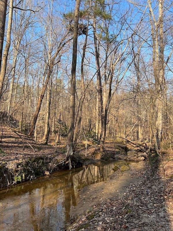 Lakhapani Preserve (formerly Lackey Road Greenspace) - Image 2