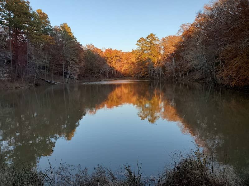 Lakhapani Preserve (formerly Lackey Road Greenspace) - Image 1
