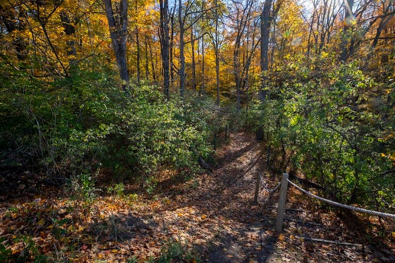 Miami University Nature Trail - Image 2