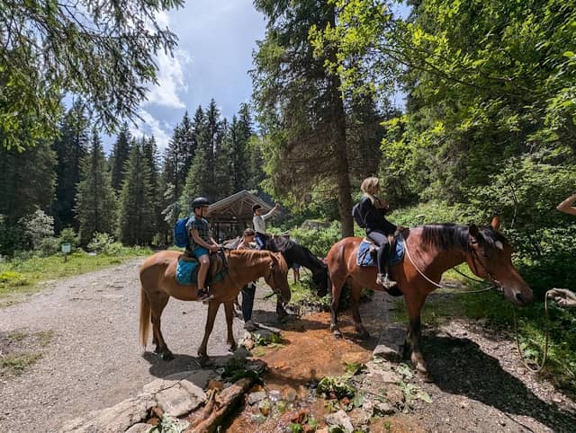Ranch de Morgins - Image 1