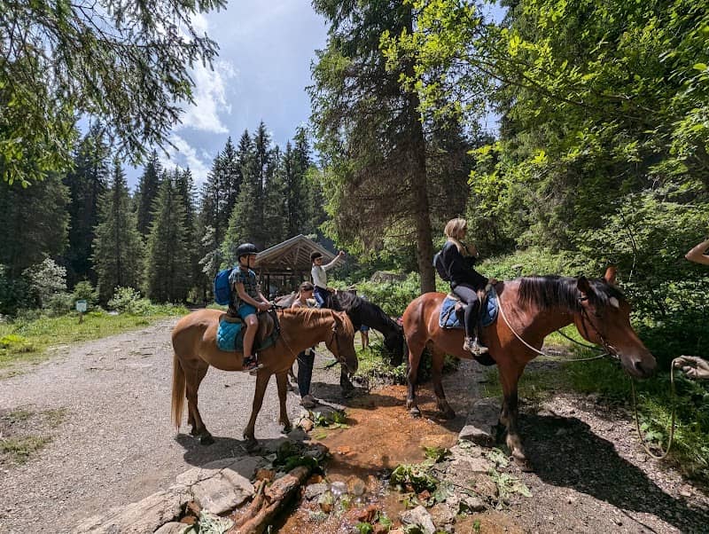Ranch de Morgins - Image 1
