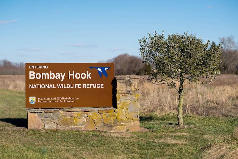 Bombay Hook National Wildlife Refuge - Image 1