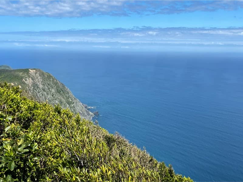 Kapiti island lookout tower - Image 1