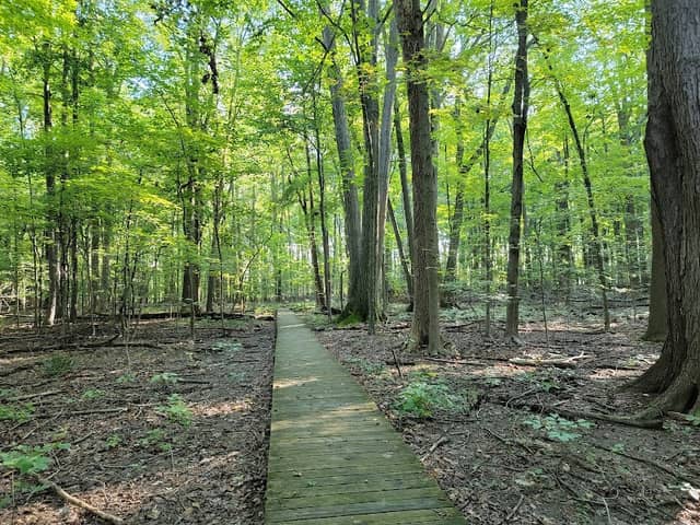 Hach-Otis Sanctuary State Nature Preserve - Image 1